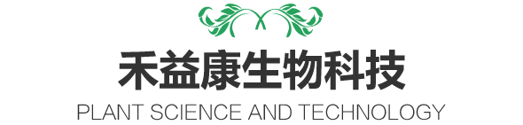 植物提取物研发和生产